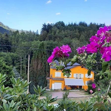 Gite Forestier Du Moulin Raon-sur-Plaine Exterior foto